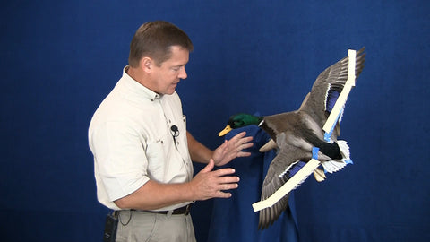 Image of https://player.vimeo.com/video/325943605