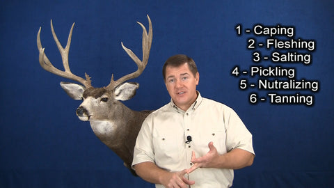 Image of https://player.vimeo.com/video/325942934