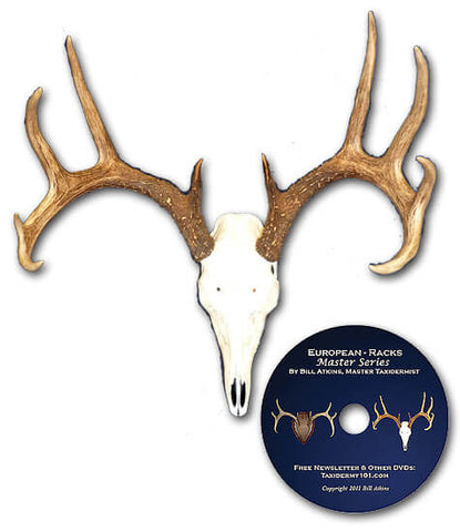 Image of How to European mount classes on video