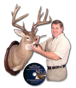 Image of Caping and tanning taxidermy school video