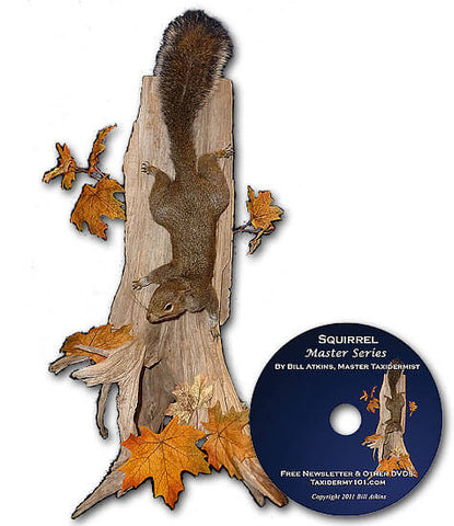 Image of Taxidermy School how to taxidermy classes on video