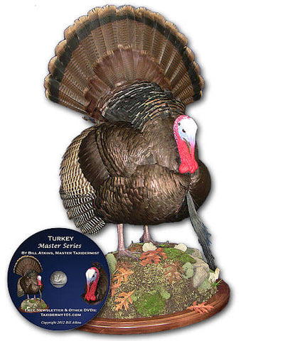 Image of Taxidermy School How to learn taxidermy classes for turkey