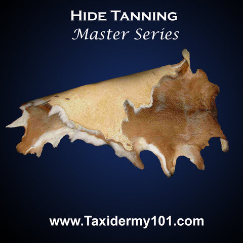 Image of Hide Tanning