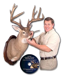 Image of Caping and tanning taxidermy school video 